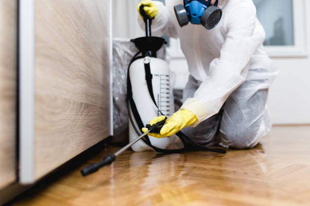 Best Pest Inspection Near Me  in Wilson, WY