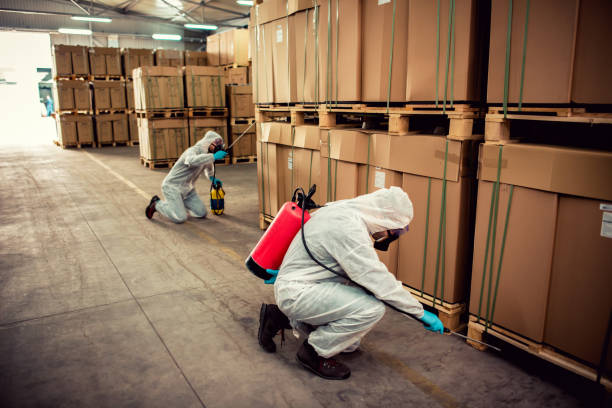 Best Residential Pest Control  in Wilson, WY