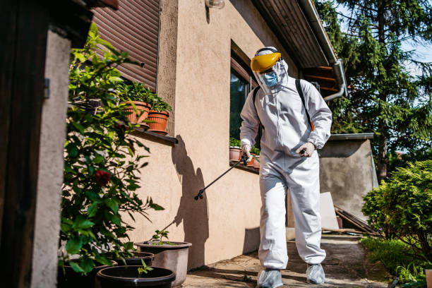 Best Emergency Pest Control  in Wilson, WY