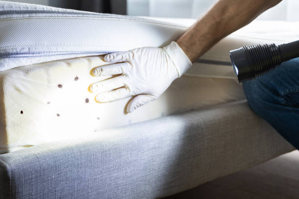 Best Pest Inspection Near Me  in Wilson, WY