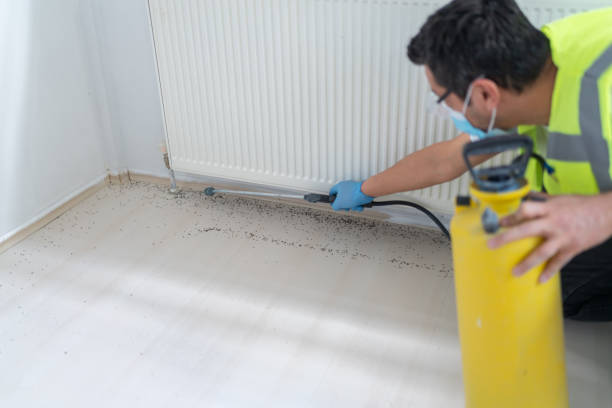 Best Local Pest Control Services  in Wilson, WY